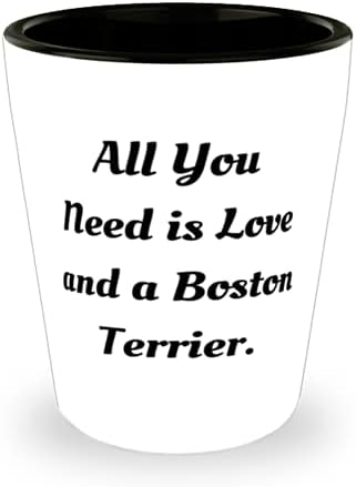 A Boston Terrier Kutya, Kisállat Szerelmesek, Csak Szerelem Kell, s egy Boston, Legjobb Boston Terrier Kutya Lövés, Üveg,