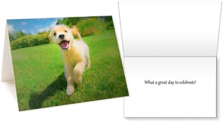 Trog Kutyák Golden Retriever Üdvözlőlapok: Arany Pillanatok