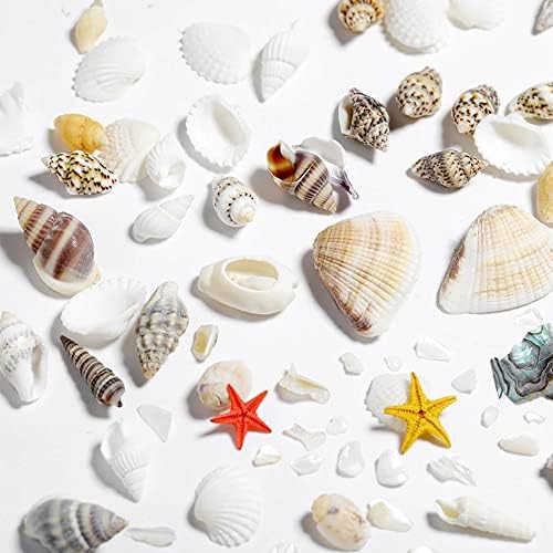 Nyári Köröm Strassz, 2 Doboz Óceán Köröm Varázsa Shell Csillag Kagyló Tenger Sorozat 3D Strand Köröm Design Kiegészítők Manikűr