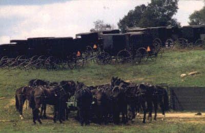 Amish Country, Ohio Képeslap
